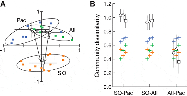 Рис. 3. Различия между сообществами диатомовых из разных районов Мирового океана. A&nbsp;&mdash; результаты многомерного анализа показывают, что сообщества из Северной Пацифики (Pac) и Атлантики (Atl) отличаются довольно слабо друг от друга, но сильно от сообществ Южного океана (SO). B&nbsp;&mdash; степень расхождения сообществ по видовому составу. Попарное сравнение Южного Океана и Пацифики (SO&ndash;Pac), Южного океана и Атлантики (SO&ndash;Atl), Атлантики и Пацифики (Atl&ndash;Pac) показывает, сколь значимо сообщества диатомовых Южного океана отличаются от сообществ Атлантического и Тихого океана в умеренных широтах Северного полушария. Кружочки, треугольники и крестики соответствуют разным интервалам времени, а именно от современности до 0,5&nbsp;миллиона лет, от 0,5 до 1&nbsp;миллиона лет, и от&nbsp;1 до 1,5&nbsp;миллионов лет. Рис. из обсуждаемой статьи в Science