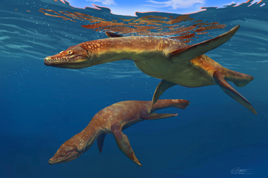 Раннеюрские морские плезиозавры Rhomaleosaurus
