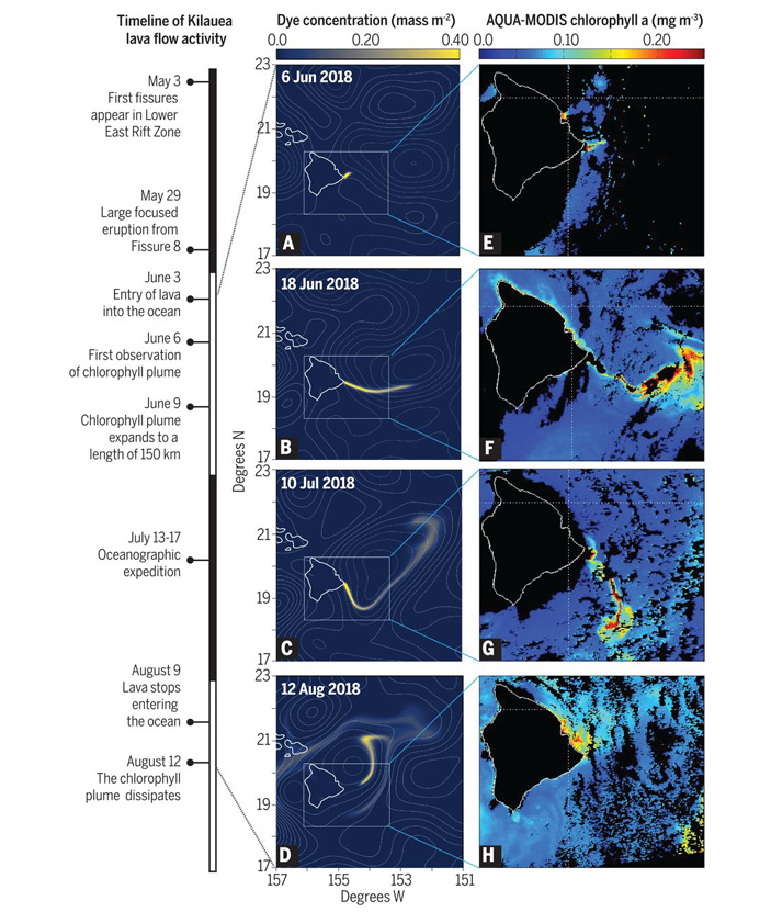 Рис. 5. Хронология вулканической активности и образования связанного с ней шлейфа хлорофилла а у восточных берегов Гавайских островов в июне–августе 2018 года (слева — моделирование, справа — спутниковые снимки)