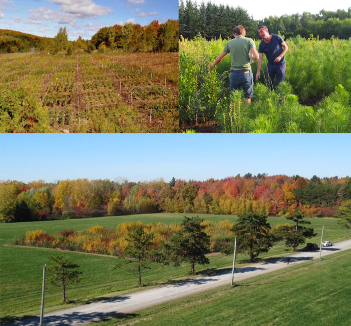 Экспериментальные участки проекта IDENT