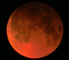 Полное лунное затмение 6 июля 1982 года (Chesapeake Bay, MD). Celestron 8 + Nikon F2: Ektachrome 400, f/7, 120 sec; 07:58 UT. Fred Espenak