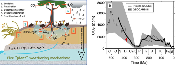 Рис. 3. Основные механизмы химического выветривания