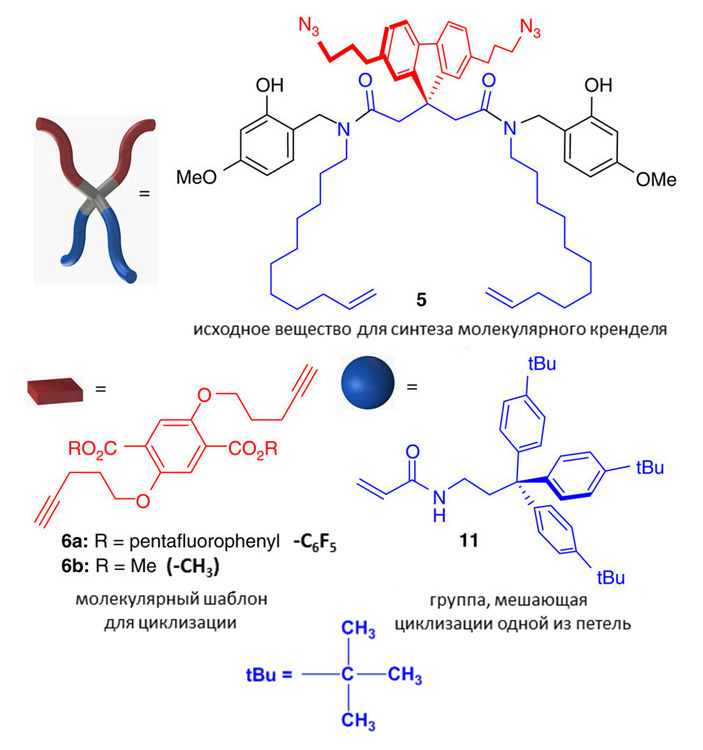 Рис. 2. Молекулярные структуры вещества (5), послужившего исходным в синтезе квази[1]катенана и квази[1]ротаксана; молекулярного шаблона (6), необходимого для направленного замыкания цикла; объемной группы (11), входящей в состав квази[1]ротаксана