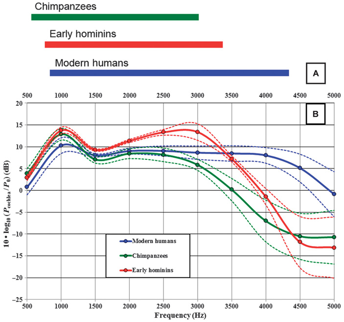Рис. 2. Звукопроводящие характеристики наружного и среднего уха шимпанзе, ранних гоминид и современных людей