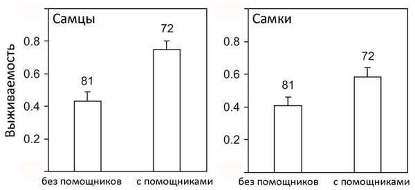 Рис. 3. Выживаемость размножающихся птиц