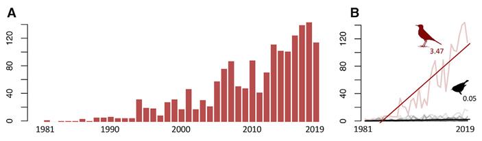 Рис. 3. Количество степных коньков, отмеченных (за год) во Франции в период с 1981 по 2019 год