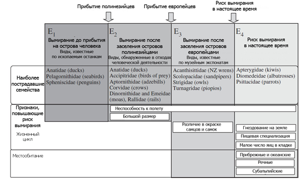 Схема, показывающая изменения причин вымирания птиц на территории Новой Зеландии