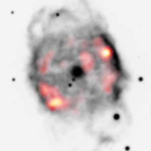 Планетарная туманность NGC 40. Снимок получен путем наложения фотографий, сделанных оптическим телескопом и рентгеновским телескопом Chandra (изображение с сайта www.rit.edu)