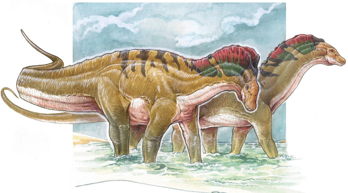 Амаргазавры (Amargasaurus cazaui) — одни из наиболее необычно выглядящих зауропод