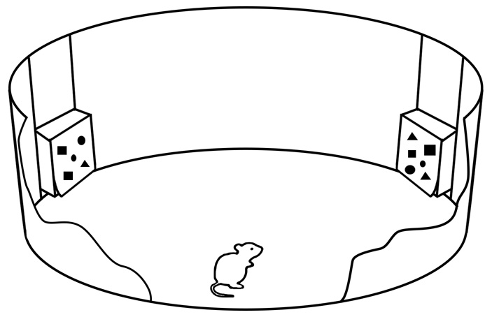 Рис. 2. Схема эксперимента