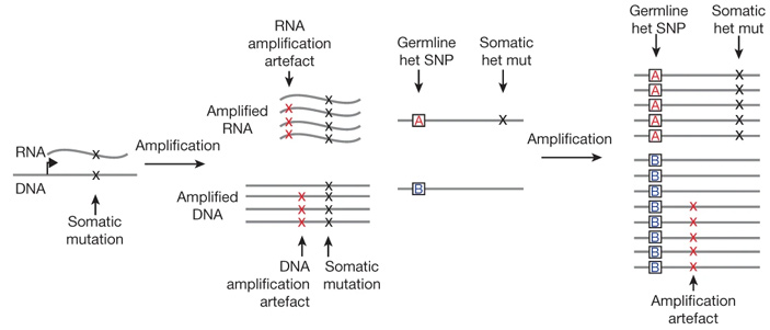 Рис. 2. Методы, которыми ученые отделяли истинные мутации от артефактов амплификации