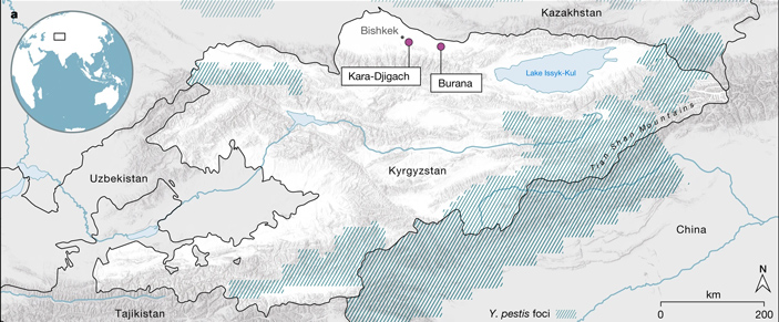 Рис. 3. Кара-Жыгач и Бурана на территории современного Кыргызстана
