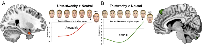 Рис. 4. A — активность миндалевидного тела в зависимости от сходства морфа с нечестным партнёром из первого этапа; B — активность дорсолатеральной префронтальной коры (dmPFC) в зависимости от сходства с честным партнёром