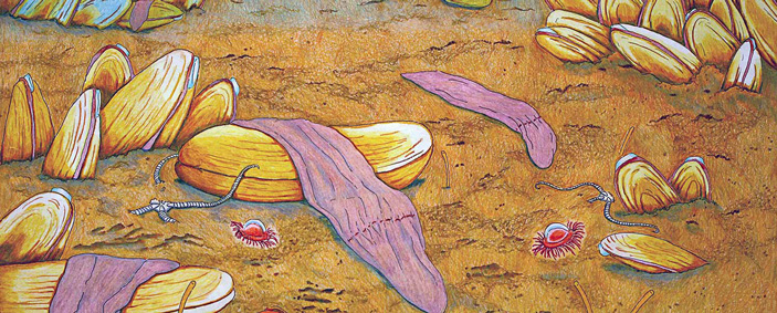 Рис. 1. Крупнейшая из ксенотурбелл — Xenoturbella monstrosa 