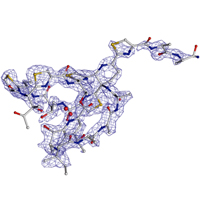 MicroED-анализ смеси смеси кристалликов биотина, цинхонина, карбамазепина и бруцина позволил определить, где какое вещество, за считаные минуты
