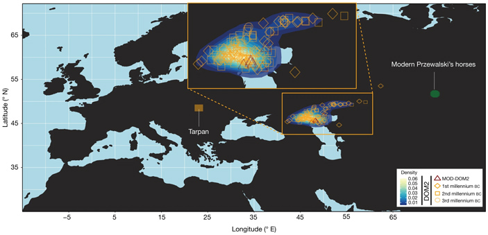 Рис. 3. Наиболее вероятная область происхождения лошадей DOM2