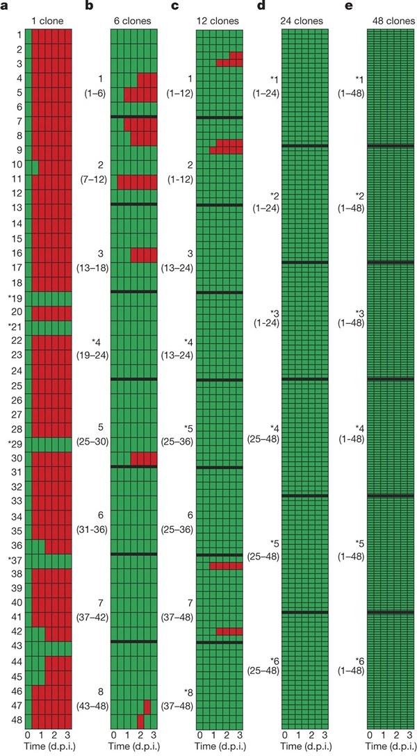 Генетическое разнообразие жертв мешает вирусам преодолевать их иммунную защиту