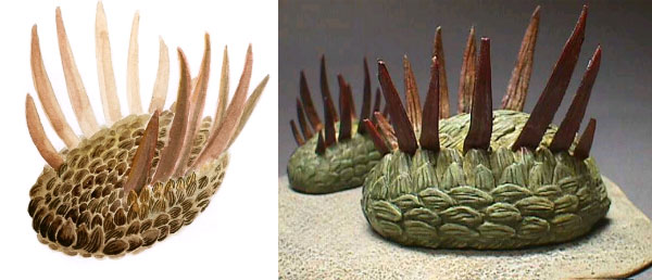 Wiwaxia — другое загадочное кембрийское животное: то ли древний моллюск, то ли родственник первых кольчатых червей (изображения с сайтов www.formsmostbeautiful.net и www.geocities.jp)