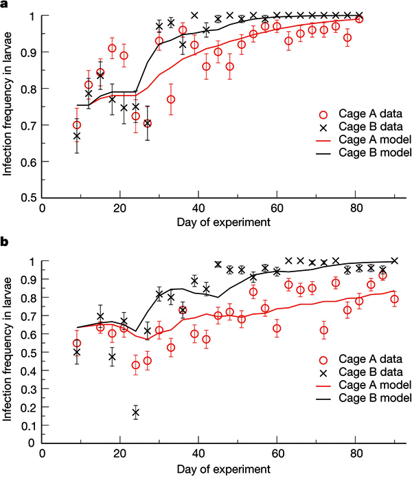 Рис. 2. Предполагаемые и полученные в экспериментах изменения зараженности вольбахией личинок комаров A. aegypti. Кривые обозначают предсказания моделей, символы — реальные частоты зараженности. Рисунок из обсуждаемой статьи Walker et al. в Nature