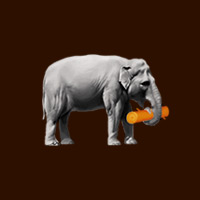 Африканский слон