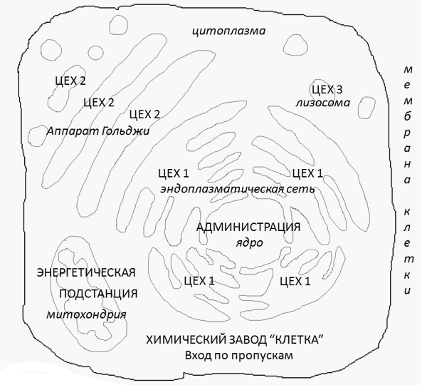 Рис. 1