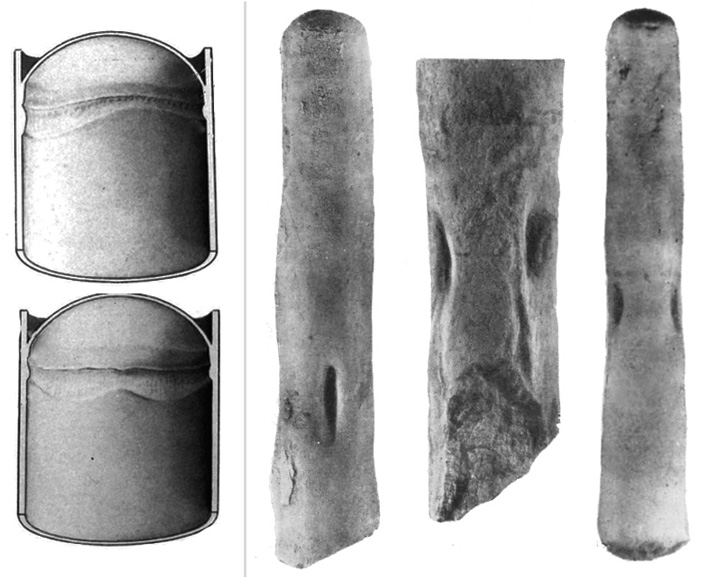 Отпечатки мускулов представителей отряда Orthocerida