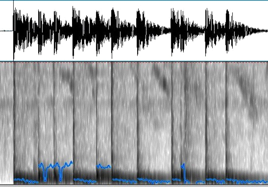 Осциллограмма и динамическая спектрограмма с частотой основного тона в виде синей линии A