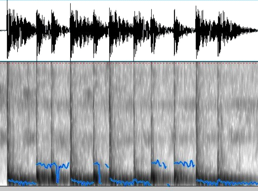 Осциллограмма и динамическая спектрограмма с частотой основного тона в виде синей линии B