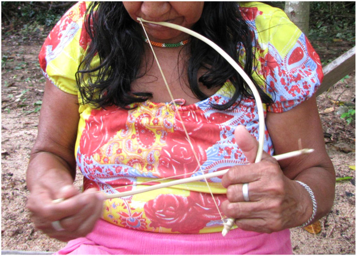 Рис. 5. Музыкальный лук иридинап, передающий женскую речь в жипаранском гавиану (Бразилия)