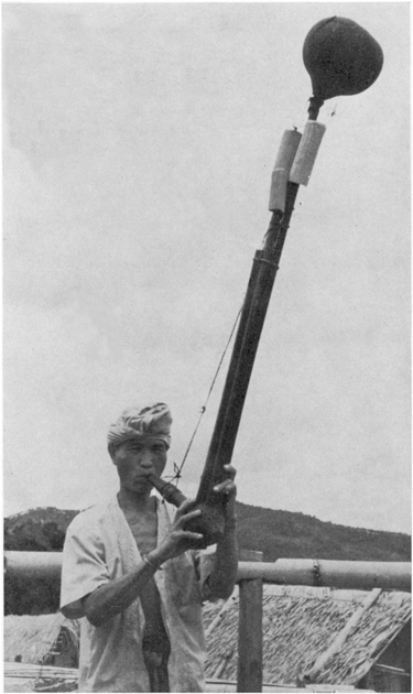 Рис. 8. Губной орган из тыквы, используемый для передачи языка лаху (Таиланд)