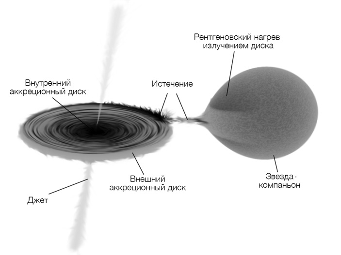 Рис. 2. Схематическое изображение рентгеновской двойной 