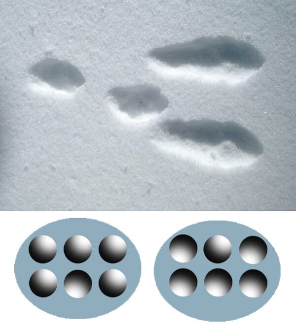 Рис. 2. Свет и тень