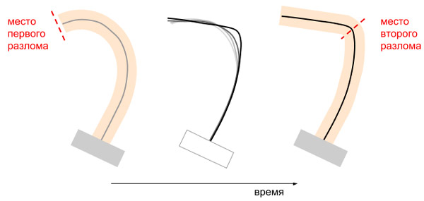 Рис. 4. Самопроизвольная деформация более длинной половинки