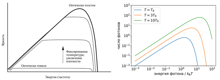 Рис. 1. Спектр тормозного излучения плазмы с фиксированной температурой