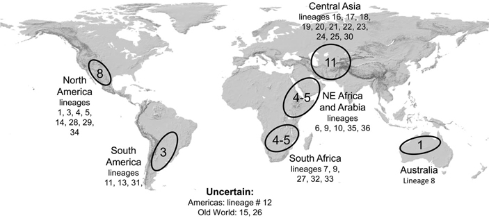 Рис. 4. Географические центры происхождения 35 линий двудольных C4-растений