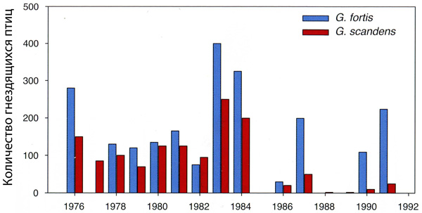 Рис. 5. Количество гнездящихся особей среднего (Geospiza fortis) и кактусового (G. scandens) земляных вьюрков на острове Дафна (Галапагосские острова) в 1976–1991 гг.