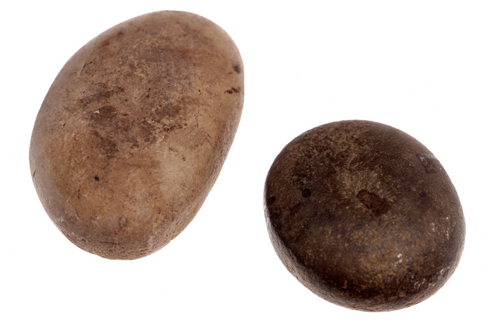 Рис.&nbsp;3. Камни для растирания нарду, которые использовали Берк, Уиллс и Кинг у реки Купер-Крик