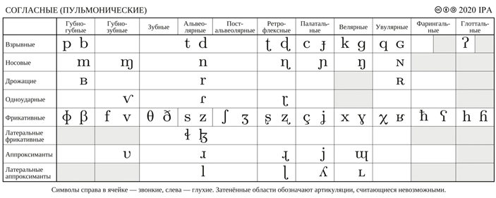 Международный фонетический алфавит (МФА / IPA)