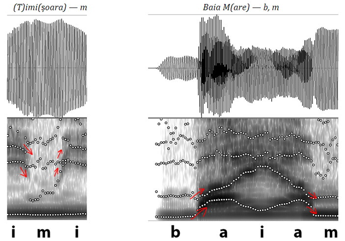 (T)imi(șoara) — m Baia M(are) — b, m