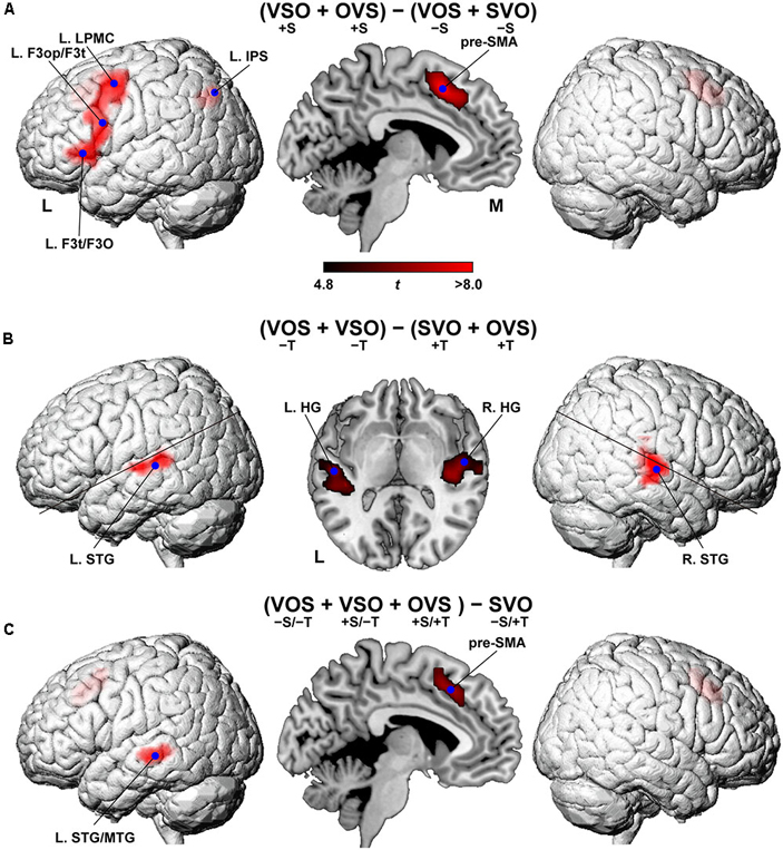 Рис. 3. Результаты эксперимента