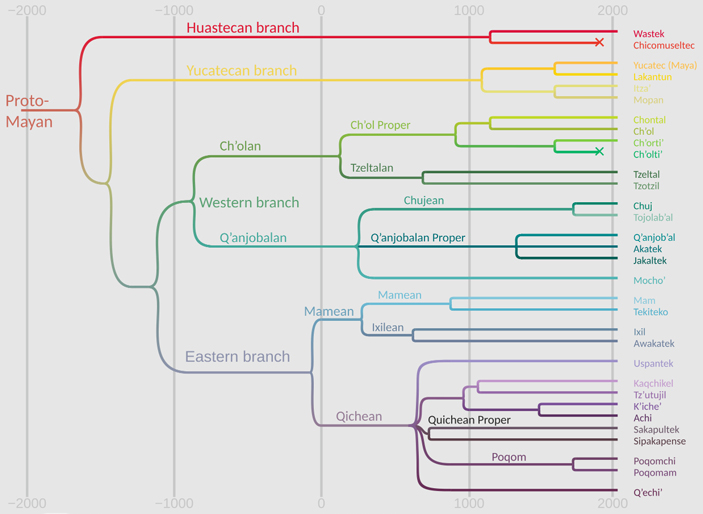 Языковое древо майянских языков (какчикельский выделен сиреневым цветом)