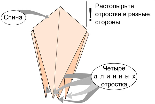 Базовая форма «Птица»