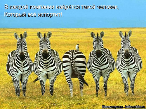 Всегда кто-то всё испортит!