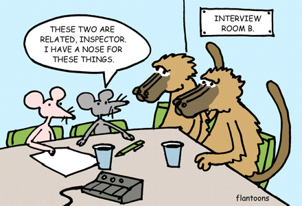 Непредсказуемые мыши