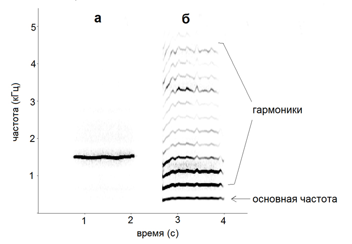 Рис. 2. Сонограммы (а) свиста и (б) звука «а-а-а» в исполнении автора задачи