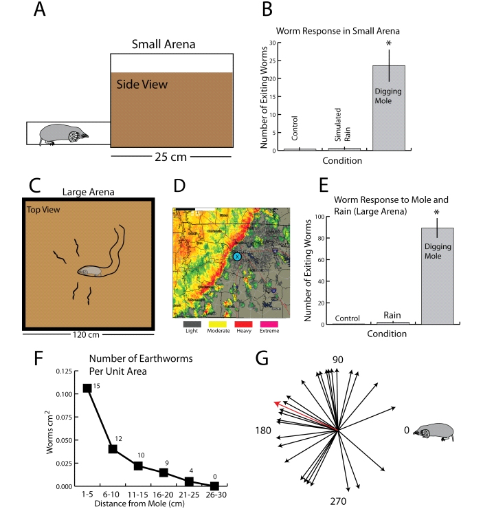 Рис. 3. Схема экспериментов