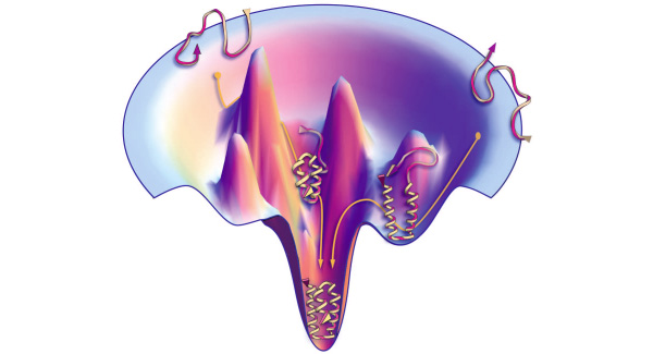 «Энергетический ландшафт» белковой молекулы