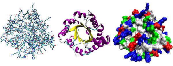 Разные способы изображения трехмерной структуры белка