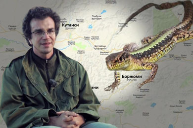 Скальные ящерицы и происхождение однополых видов