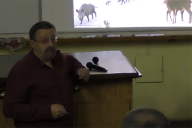 Изобилие дичи. От чего оно зависит? Что мы об этом знаем?